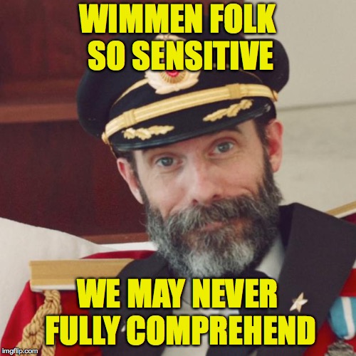 Captain Obvious | WIMMEN FOLK SO SENSITIVE WE MAY NEVER FULLY COMPREHEND | image tagged in captain obvious | made w/ Imgflip meme maker