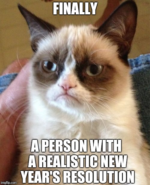 Grumpy Cat Meme | FINALLY A PERSON WITH A REALISTIC NEW YEAR'S RESOLUTION | image tagged in memes,grumpy cat | made w/ Imgflip meme maker