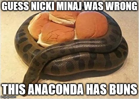 Anaconda Dont Got Buns, Hun! | GUESS NICKI MINAJ WAS WRONG; THIS ANACONDA HAS BUNS | image tagged in nicki minaj,funny,funny picture,buns,snake,wrong | made w/ Imgflip meme maker