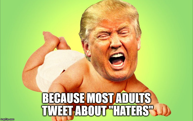 Baby Trump | BECAUSE MOST ADULTS TWEET ABOUT "HATERS" | image tagged in baby trump | made w/ Imgflip meme maker