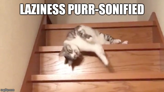 Excuse the horrific pun | LAZINESS PURR-SONIFIED | image tagged in lame puns,cats,lazy cat | made w/ Imgflip meme maker