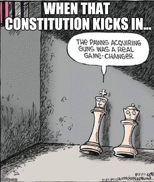 A gun is a pretty loud voice when all else fails | WHEN THAT CONSTITUTION KICKS IN... | image tagged in gun control,memes,politics,political meme | made w/ Imgflip meme maker