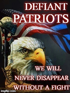 DEFIANT PATRIOTS | DEFIANT; PATRIOTS; WE WILL NEVER DISAPPEAR WITHOUT A FIGHT | image tagged in america,united states,patriotism,fight | made w/ Imgflip meme maker