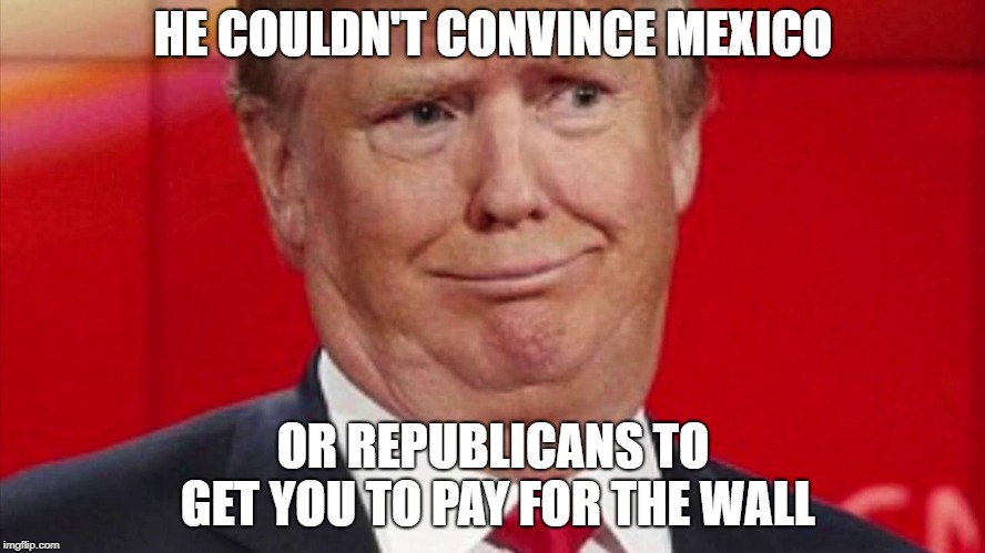 World's Best Negotiator | HE COULDN'T CONVINCE MEXICO; OR REPUBLICANS TO GET YOU TO PAY FOR THE WALL | image tagged in donald trump,the art of the deal,conservatives,republicans,the wall,build the wall | made w/ Imgflip meme maker