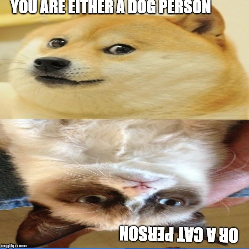 #animal planet | YOU ARE EITHER A DOG PERSON; OR A CAT PERSON | image tagged in doge,grumpy cat | made w/ Imgflip meme maker
