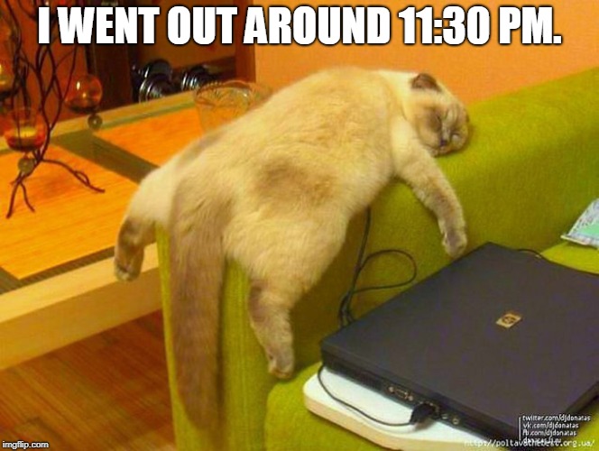 sleeping cat | I WENT OUT AROUND 11:30 PM. | image tagged in sleeping cat | made w/ Imgflip meme maker