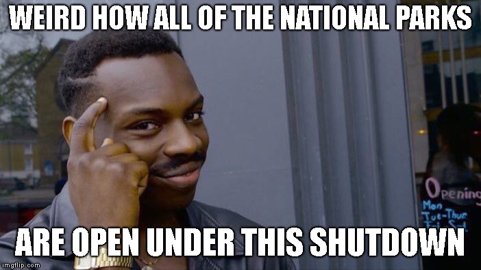 Roll Safe Think About It Meme | WEIRD HOW ALL OF THE NATIONAL PARKS ARE OPEN UNDER THIS SHUTDOWN | image tagged in memes,roll safe think about it | made w/ Imgflip meme maker