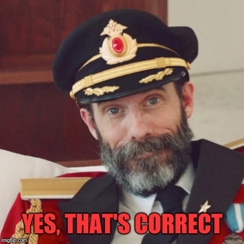 Captain Obvious | YES, THAT'S CORRECT | image tagged in captain obvious | made w/ Imgflip meme maker