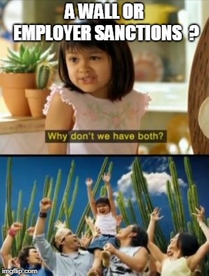 Why Not Both Meme | A WALL OR EMPLOYER SANCTIONS  ? | image tagged in memes,why not both | made w/ Imgflip meme maker
