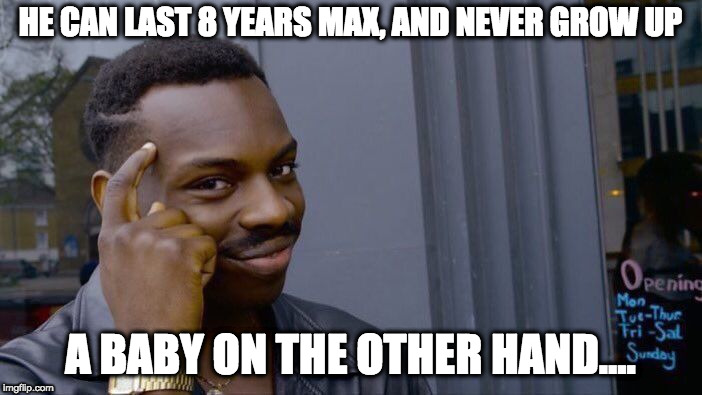 Roll Safe Think About It Meme | HE CAN LAST 8 YEARS MAX, AND NEVER GROW UP A BABY ON THE OTHER HAND.... | image tagged in memes,roll safe think about it | made w/ Imgflip meme maker