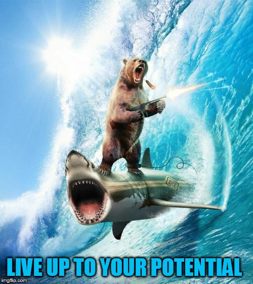 Potential Grizzly | LIVE UP TO YOUR POTENTIAL | image tagged in potential grizzly | made w/ Imgflip meme maker