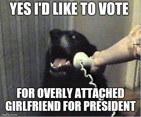 Yes this is dog | YES I'D LIKE TO VOTE FOR OVERLY ATTACHED GIRLFRIEND FOR PRESIDENT | image tagged in yes this is dog | made w/ Imgflip meme maker