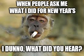 You never know | WHEN PEOPLE ASK ME WHAT I DID FOR NEW YEAR'S; I DUNNO, WHAT DID YOU HEAR? | image tagged in new years eve | made w/ Imgflip meme maker