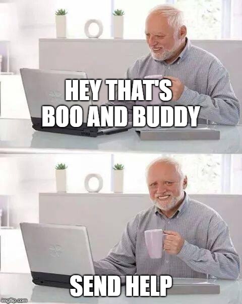 HEY THAT'S BOO AND BUDDY SEND HELP | image tagged in memes,hide the pain harold | made w/ Imgflip meme maker