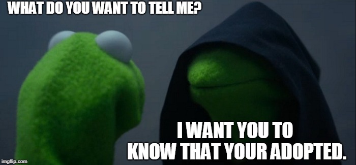 Evil Kermit Meme | WHAT DO YOU WANT TO TELL ME? I WANT YOU TO KNOW THAT YOUR ADOPTED. | image tagged in memes,evil kermit | made w/ Imgflip meme maker