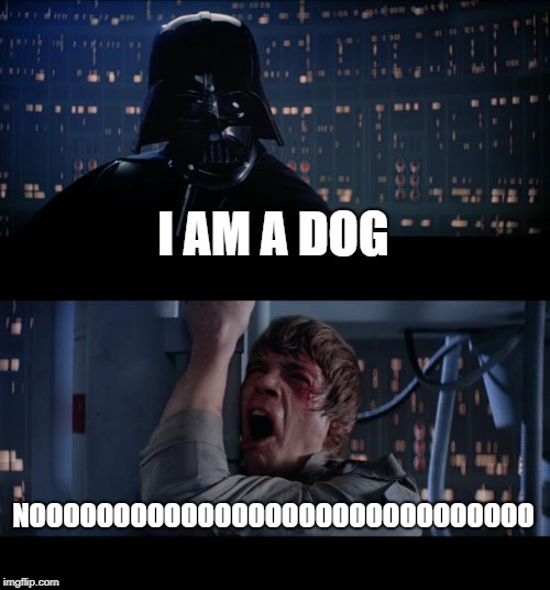 Star Wars No Meme | I AM A DOG; NOOOOOOOOOOOOOOOOOOOOOOOOOOOOOO | image tagged in memes,star wars no | made w/ Imgflip meme maker