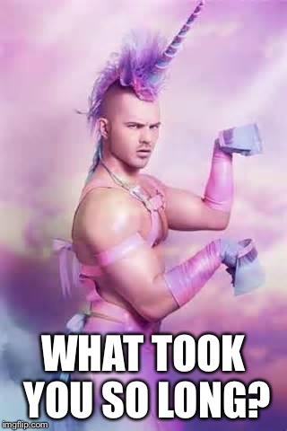 Gay Unicorn | WHAT TOOK YOU SO LONG? | image tagged in gay unicorn | made w/ Imgflip meme maker