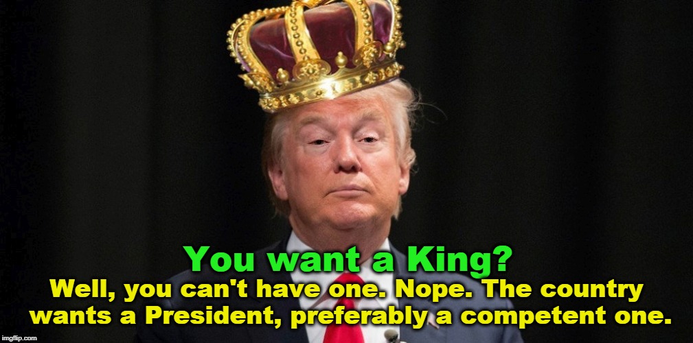 You want a King? Well, you can't have one. Nope. The country wants a President, preferably a competent one. | image tagged in trump,king,president,competent | made w/ Imgflip meme maker