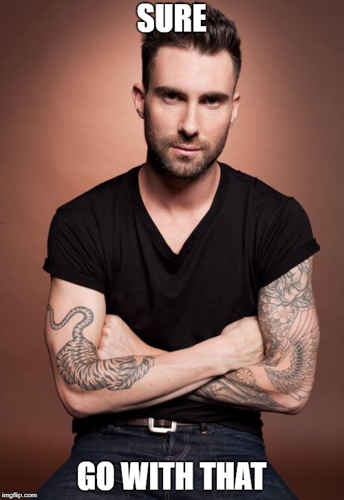 Adam Levine | SURE GO WITH THAT | image tagged in adam levine | made w/ Imgflip meme maker