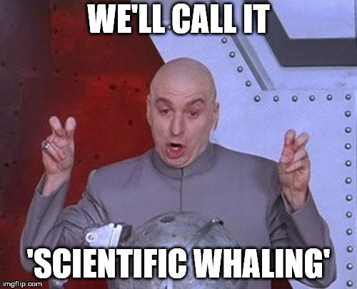Dr Evil Laser | WE'LL CALL IT; 'SCIENTIFIC WHALING' | image tagged in memes,dr evil laser | made w/ Imgflip meme maker