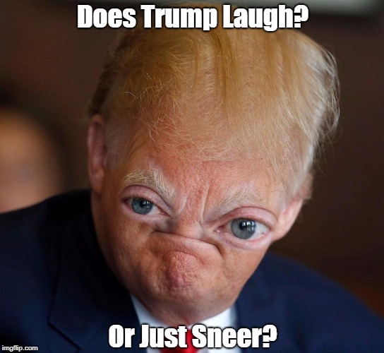 Does Trump Laugh? Or Just Sneer? | made w/ Imgflip meme maker