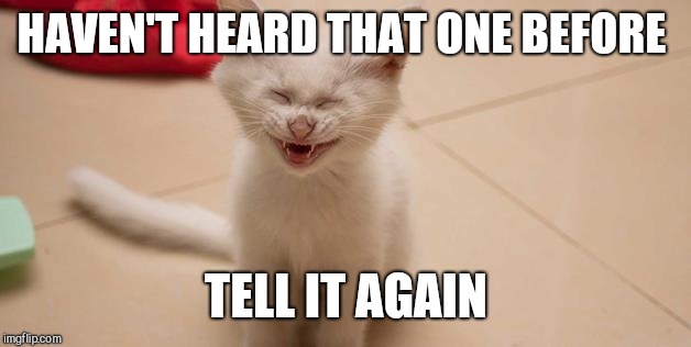 Cat Laughing | HAVEN'T HEARD THAT ONE BEFORE TELL IT AGAIN | image tagged in cat laughing | made w/ Imgflip meme maker