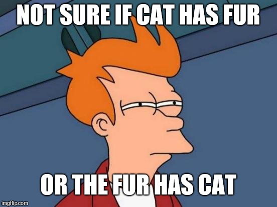 Futurama Fry Meme | NOT SURE IF CAT HAS FUR OR THE FUR HAS CAT | image tagged in memes,futurama fry | made w/ Imgflip meme maker