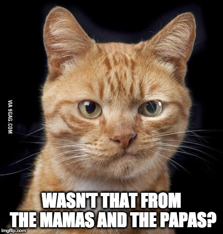 Doubting Cat | WASN'T THAT FROM THE MAMAS AND THE PAPAS? | image tagged in doubting cat | made w/ Imgflip meme maker