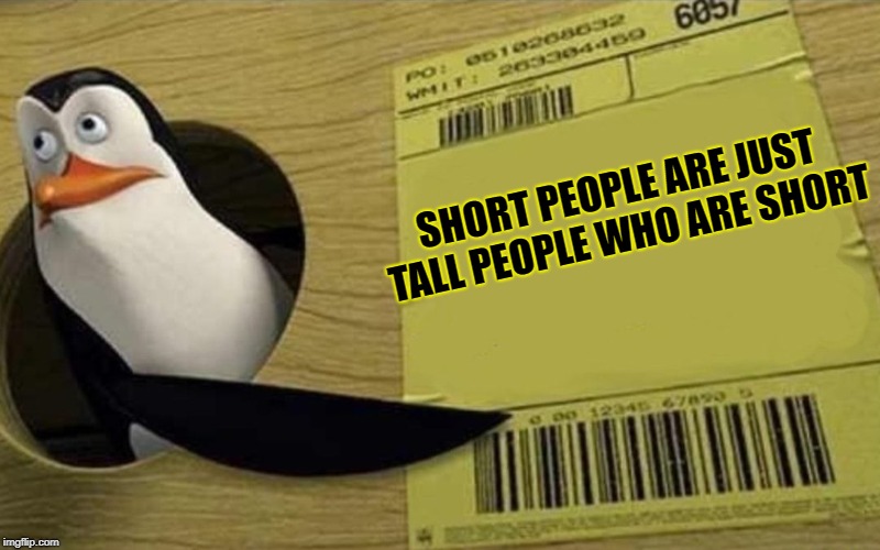 Kowalski | SHORT PEOPLE ARE JUST TALL PEOPLE WHO ARE SHORT | image tagged in kowalski | made w/ Imgflip meme maker