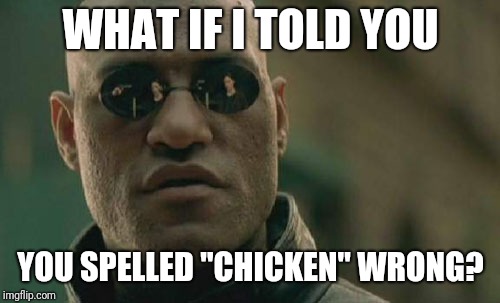 Matrix Morpheus Meme | WHAT IF I TOLD YOU YOU SPELLED "CHICKEN" WRONG? | image tagged in memes,matrix morpheus | made w/ Imgflip meme maker