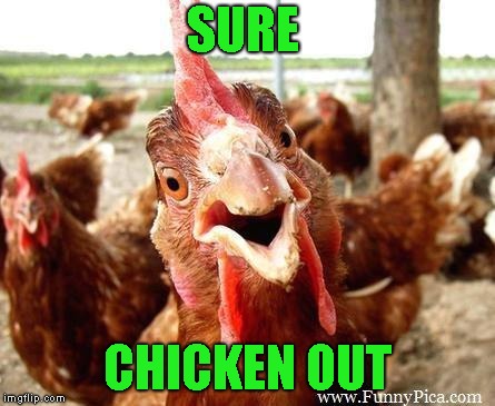 Chicken | SURE CHICKEN OUT | image tagged in chicken | made w/ Imgflip meme maker