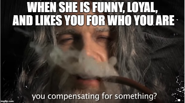 WHEN SHE IS FUNNY, LOYAL, AND LIKES YOU FOR WHO YOU ARE | image tagged in gandalf | made w/ Imgflip meme maker