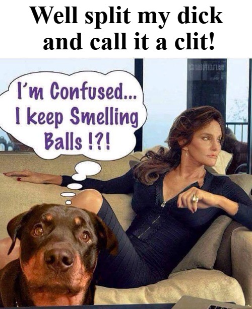 Well split my dick and call it a clit! | Well split my dick and call it a clit! | image tagged in i'm confused i keep smelling balls,caitlyn jenner,bruce jenner,tranny of the year | made w/ Imgflip meme maker