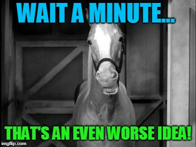 Mr. Ed | WAIT A MINUTE... THAT'S AN EVEN WORSE IDEA! | image tagged in mr ed | made w/ Imgflip meme maker