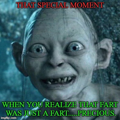 Gollum Meme | THAT SPECIAL MOMENT; WHEN YOU REALIZE THAT FART WAS JUST A FART.....PRECIOUS. | image tagged in memes,gollum | made w/ Imgflip meme maker