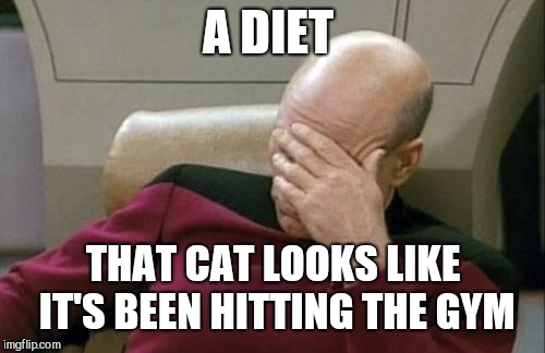 Captain Picard Facepalm Meme | A DIET THAT CAT LOOKS LIKE IT'S BEEN HITTING THE GYM | image tagged in memes,captain picard facepalm | made w/ Imgflip meme maker