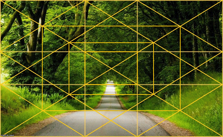 A road in the Rold forest in Denmark with the Golden Ratio. | image tagged in nature,the golden ratio,life,beauty,geometry,art | made w/ Imgflip meme maker