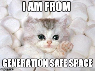 Marshmallow Cat | I AM FROM; GENERATION SAFE SPACE | image tagged in marshmallow cat | made w/ Imgflip meme maker