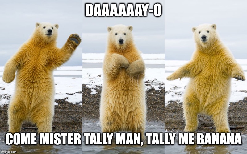 hairy bearafonte | DAAAAAAY-O; COME MISTER TALLY MAN, TALLY ME BANANA | image tagged in banana song,harry belafonte,bear memes,bear meme | made w/ Imgflip meme maker