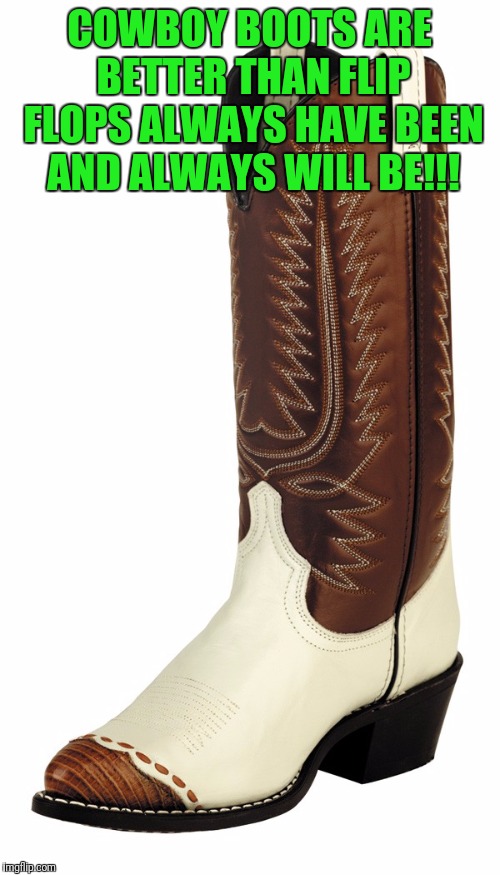 Cowboy boot | COWBOY BOOTS ARE BETTER THAN FLIP FLOPS ALWAYS HAVE BEEN AND ALWAYS WILL BE!!! | image tagged in cowboy boot | made w/ Imgflip meme maker