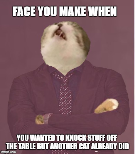 Face you make cat | FACE YOU MAKE WHEN; YOU WANTED TO KNOCK STUFF OFF THE TABLE BUT ANOTHER CAT ALREADY DID | image tagged in funny memes,cat memes,cats,cat,funny cat memes | made w/ Imgflip meme maker