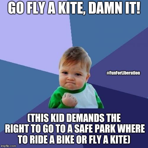 Success Kid | GO FLY A KITE, DAMN IT! #FunForLiberation; (THIS KID DEMANDS THE RIGHT TO GO TO A SAFE PARK WHERE TO RIDE A BIKE OR FLY A KITE) | image tagged in memes,success kid | made w/ Imgflip meme maker