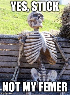 Waiting Skeleton Meme | YES, STICK NOT MY FEMER | image tagged in memes,waiting skeleton | made w/ Imgflip meme maker