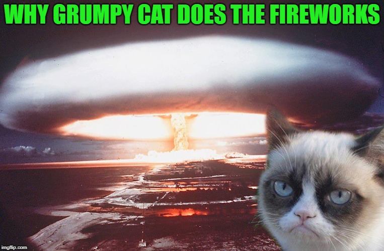 WHY GRUMPY CAT DOES THE FIREWORKS | made w/ Imgflip meme maker
