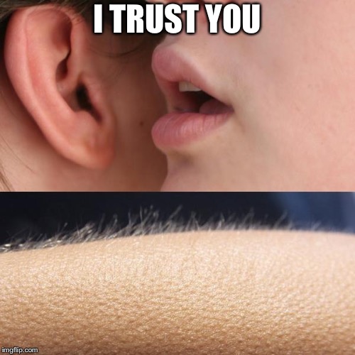 The excitement of trust | I TRUST YOU | image tagged in whisper and goosebumps,trust,excitement,memes | made w/ Imgflip meme maker