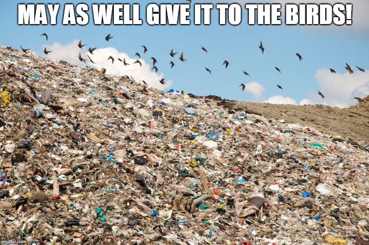 Landfill | MAY AS WELL GIVE IT TO THE BIRDS! | image tagged in landfill | made w/ Imgflip meme maker