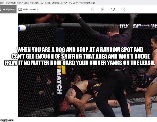 WHEN YOU ARE A DOG AND STOP AT A RANDOM SPOT AND CAN'T GET ENOUGH OF SNIFFING THAT AREA AND WON'T BUDGE FROM IT NO MATTER HOW HARD YOUR OWNER YANKS ON THE LEASH. | image tagged in mma | made w/ Imgflip meme maker