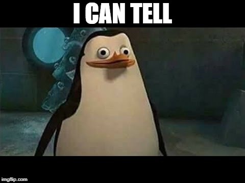 Confused penguin | I CAN TELL | image tagged in confused penguin | made w/ Imgflip meme maker