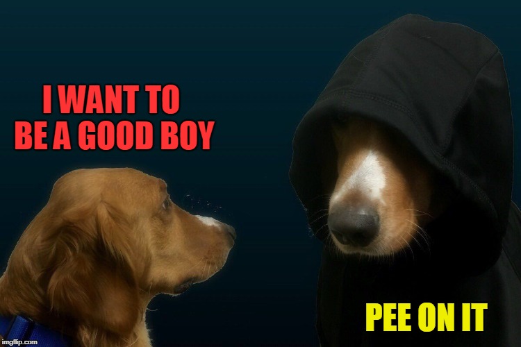 Evil dog | I WANT TO BE A GOOD BOY PEE ON IT | image tagged in evil dog | made w/ Imgflip meme maker