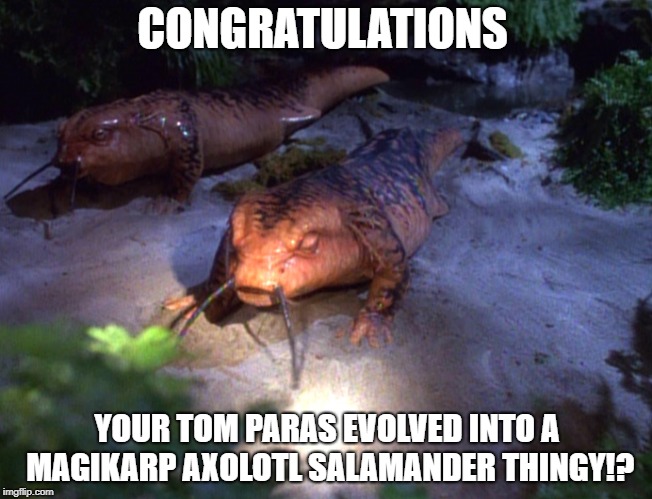 Who remembers that episode of Voyager where Tom Paris and Janeway are turned into salamanders | CONGRATULATIONS; YOUR TOM PARAS EVOLVED INTO A MAGIKARP AXOLOTL SALAMANDER THINGY!? | image tagged in star trek,star trek voyager,salamander thingy,pokemon evoution,tom paris,captain janeway | made w/ Imgflip meme maker